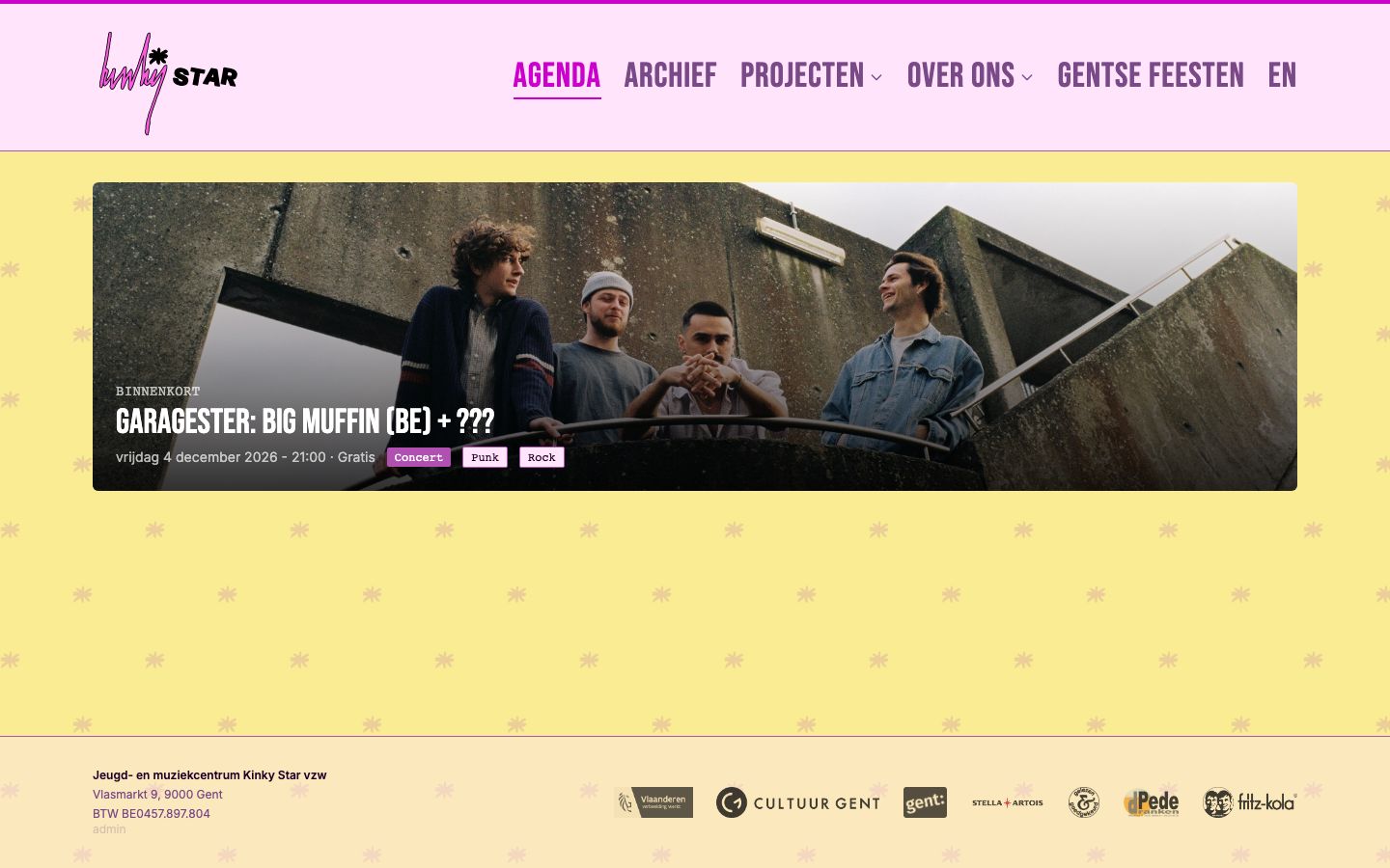 Homepage screenshot of Kinky Star