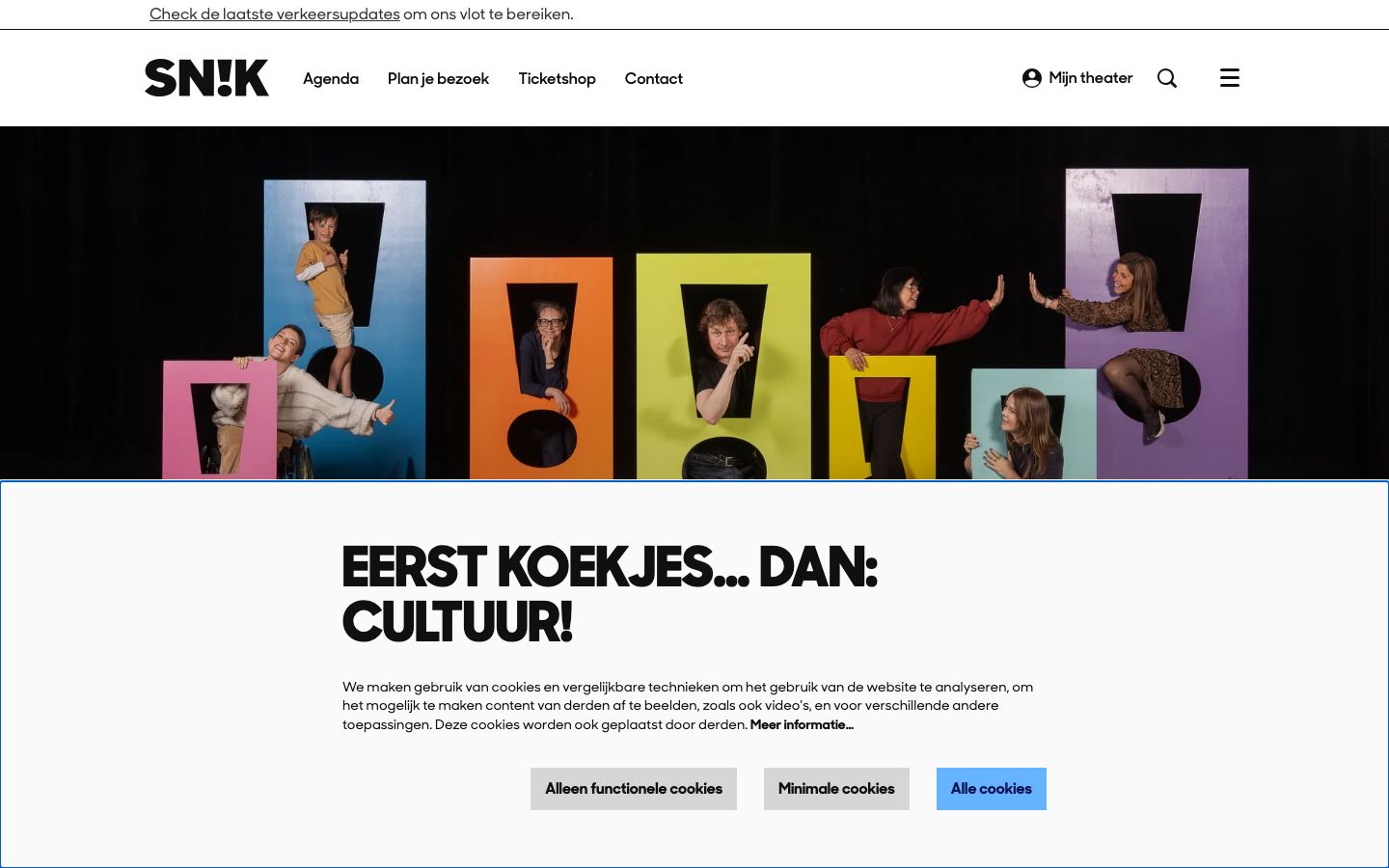 Homepage screenshot of SN!K