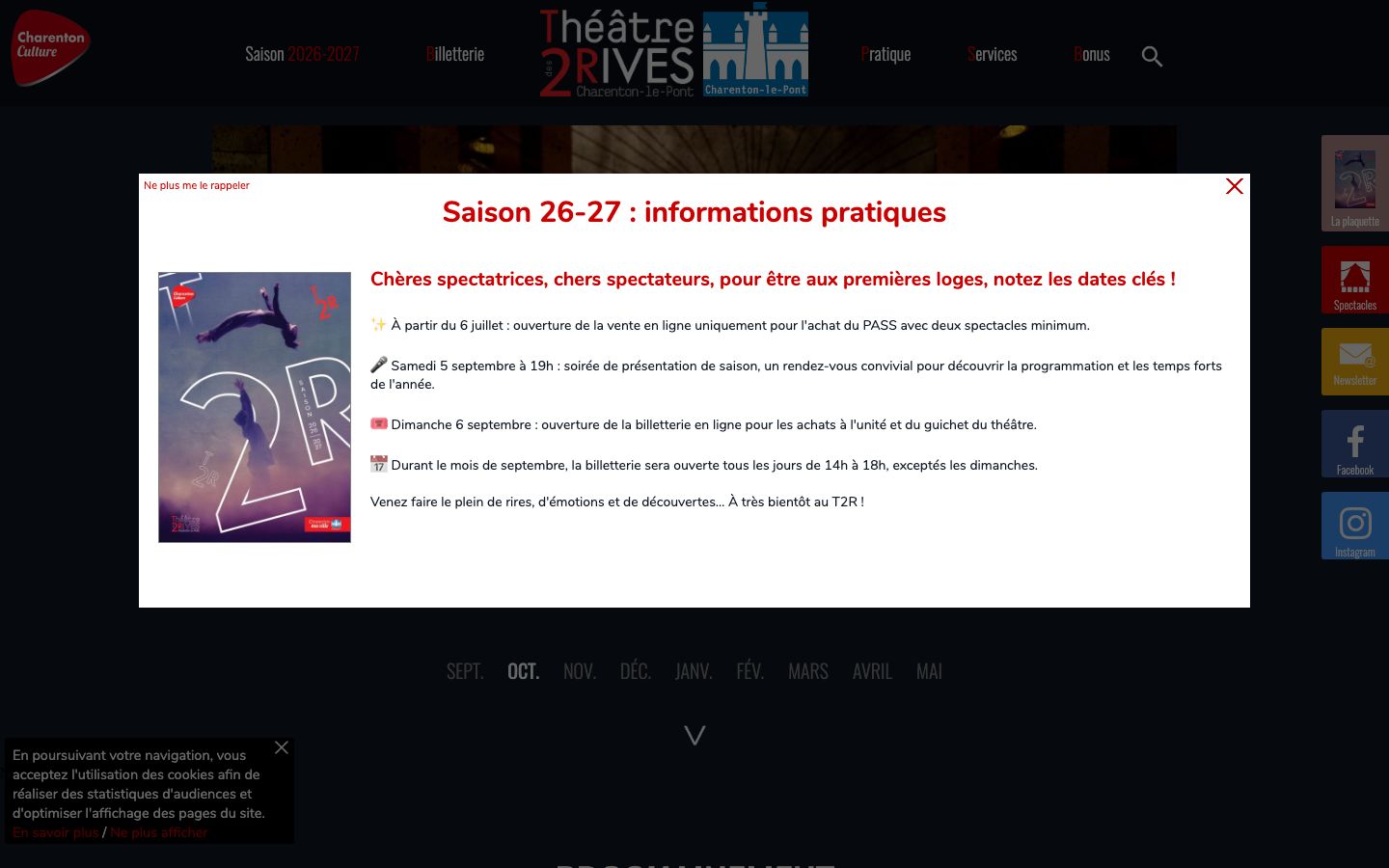 Homepage screenshot of Théâtre des 2 Rives