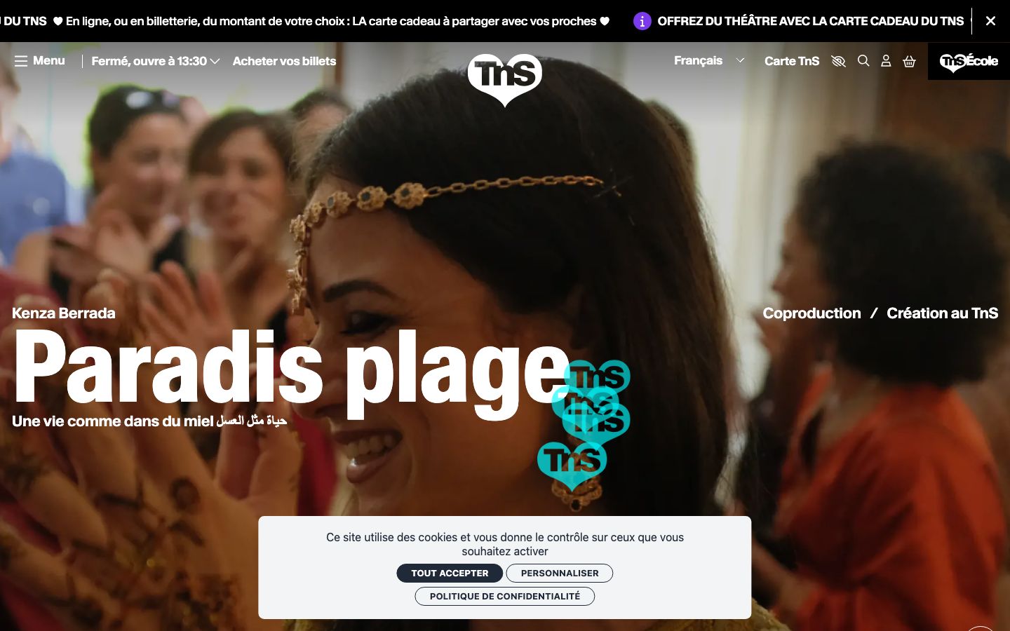 Homepage screenshot of TnS école