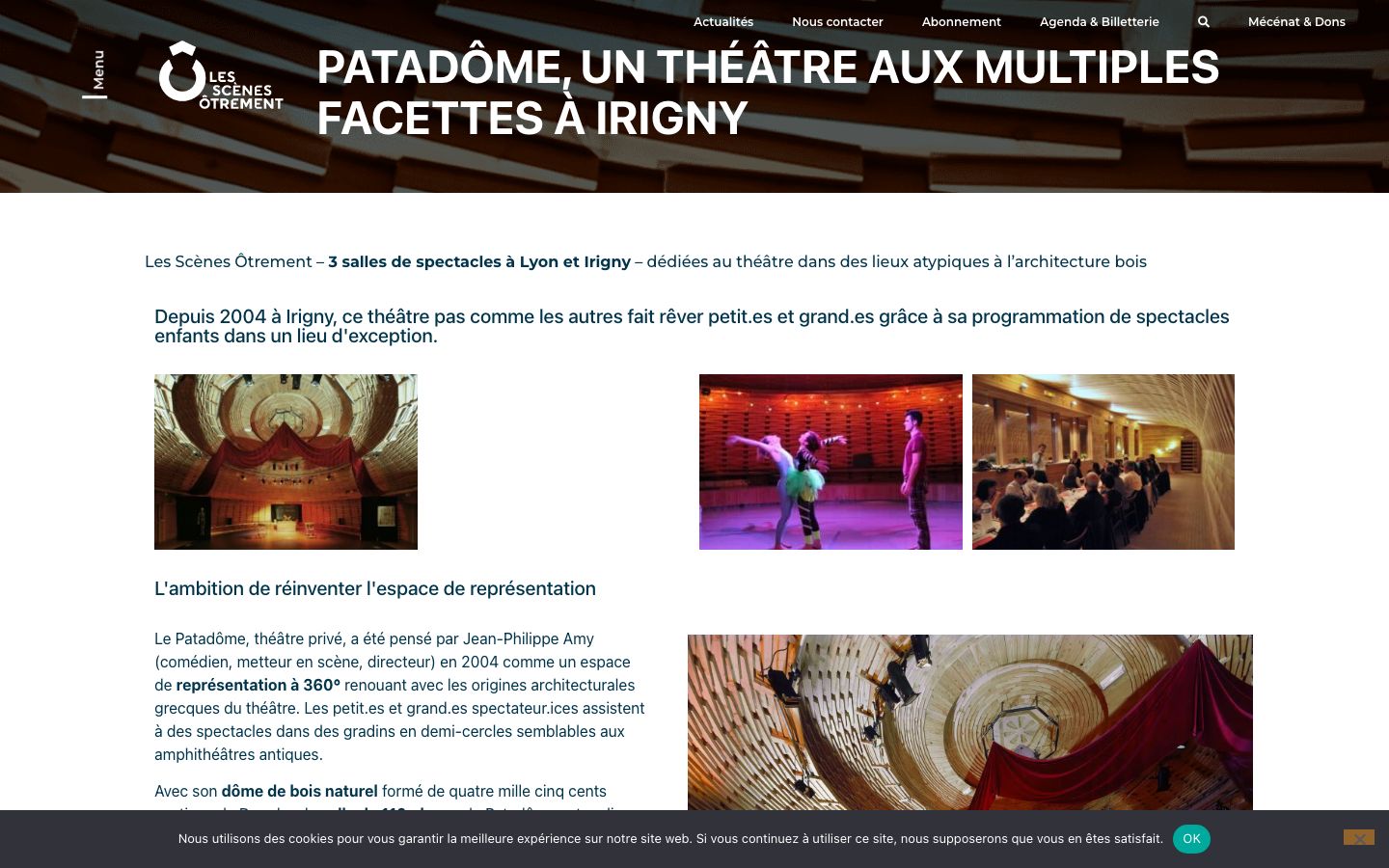 Homepage screenshot of Patadôme