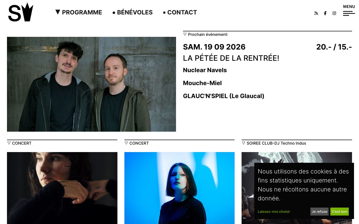 Homepage screenshot of SAS Delémont