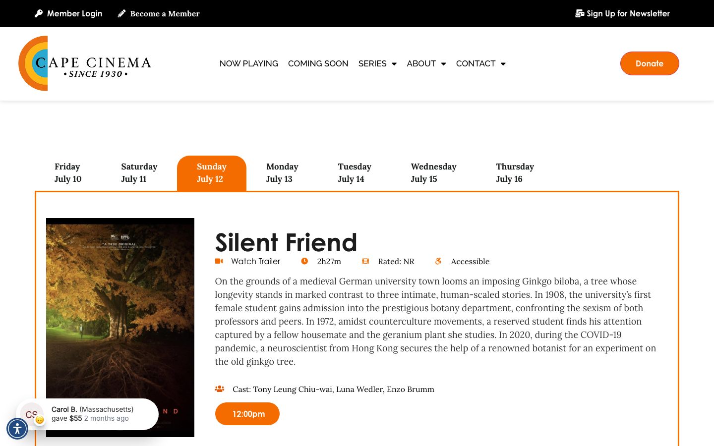 Homepage screenshot of Cape Cinema