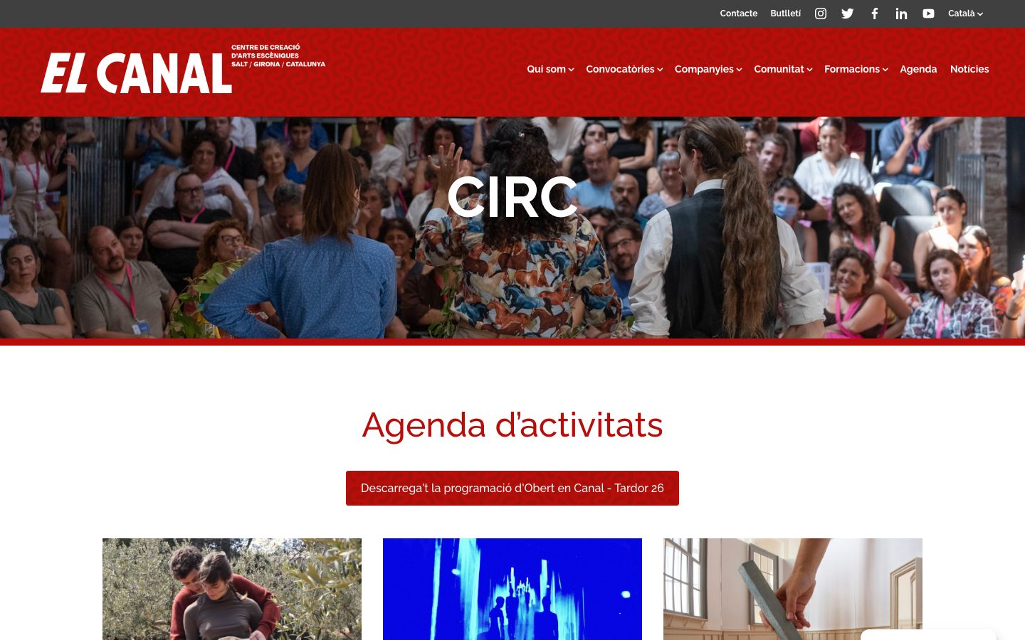 Homepage screenshot of El Canal Salt
