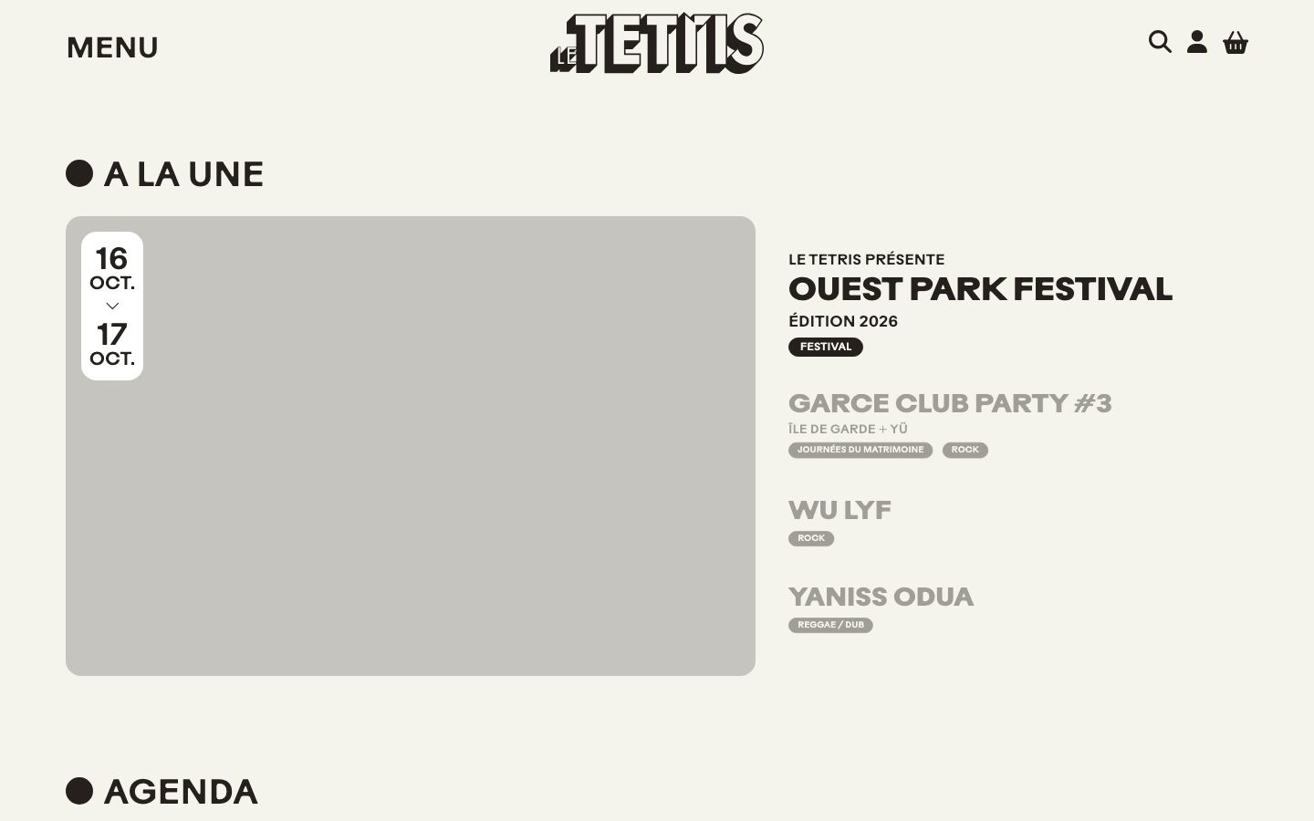 Homepage screenshot of Le Tetris