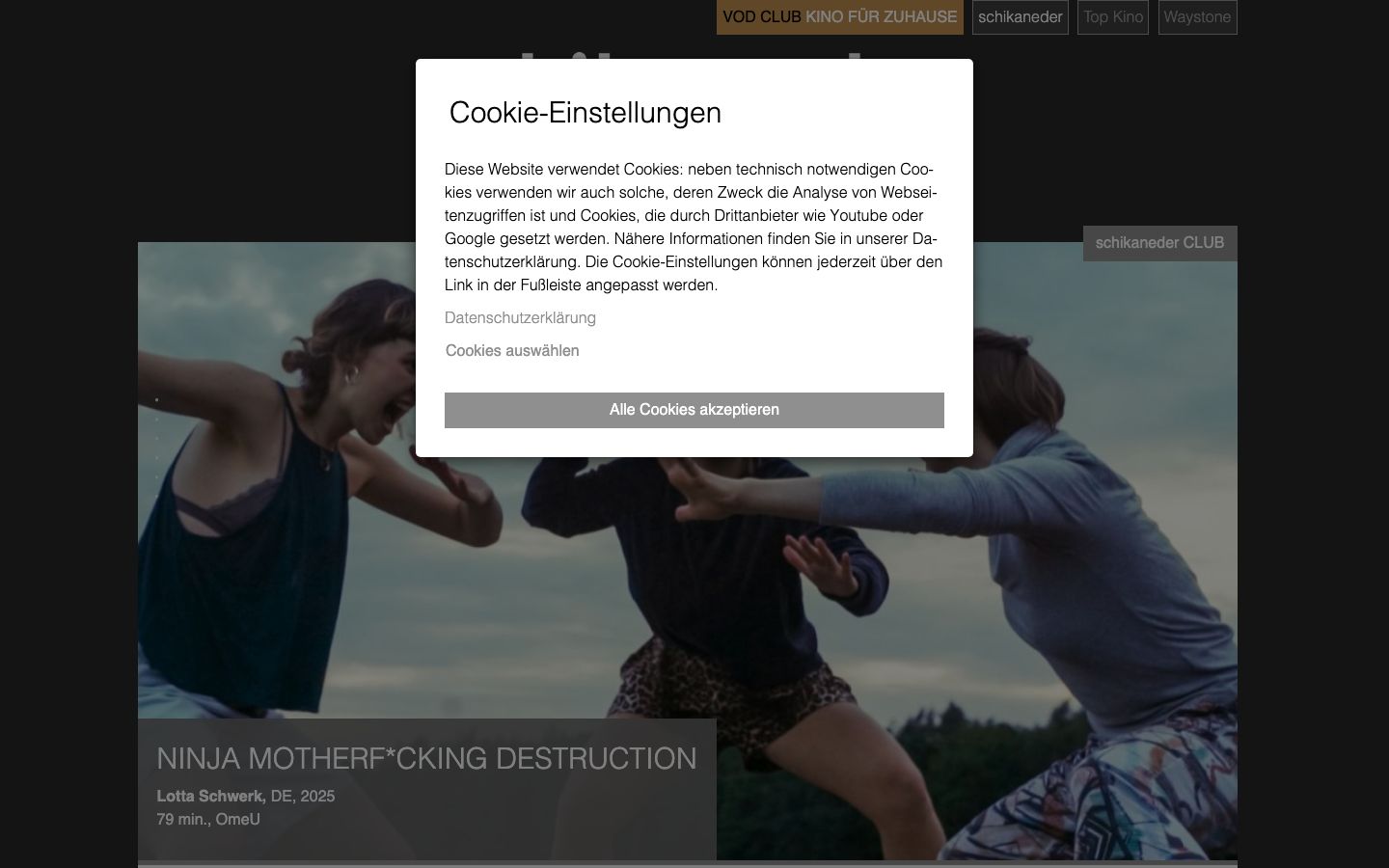 Homepage screenshot of schikaneder