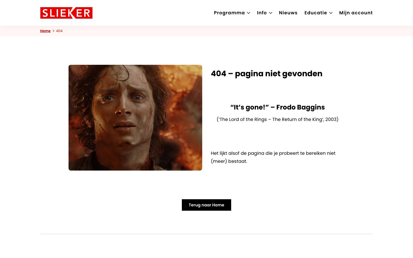 Homepage screenshot of Slieker