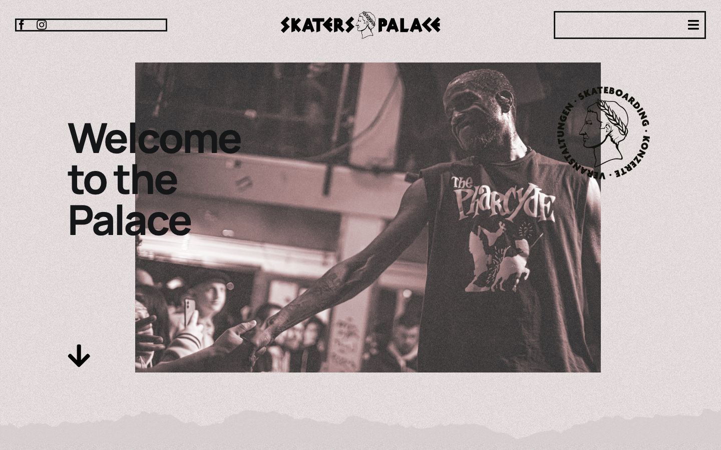 Homepage screenshot of Skaters Palace