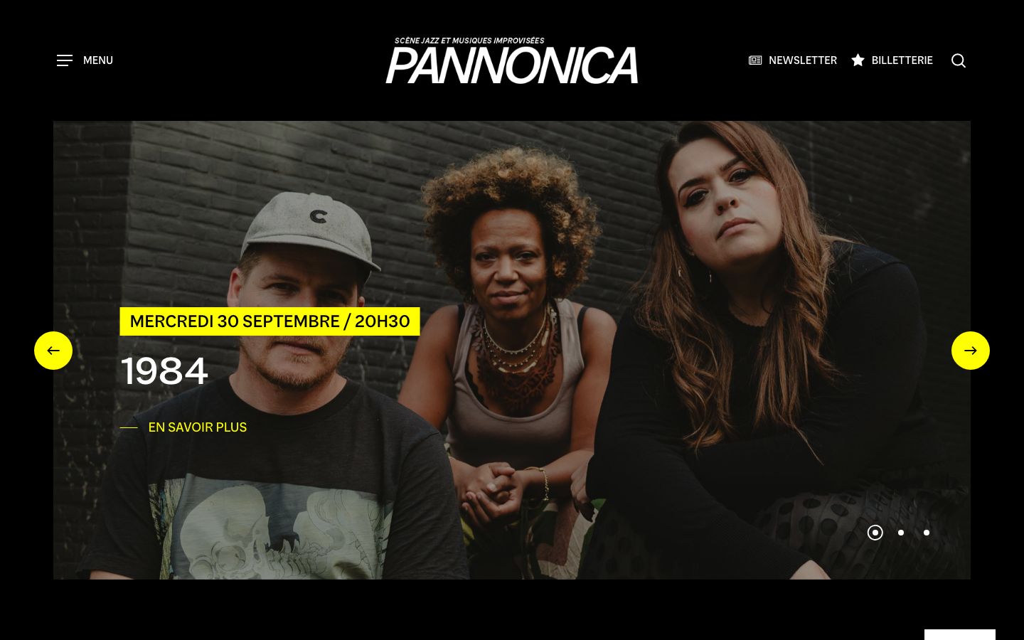 Homepage screenshot of Pannonica