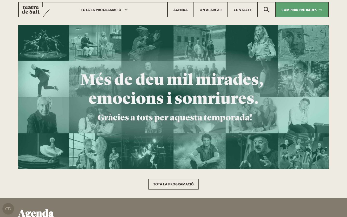 Homepage screenshot of Teatre de Salt