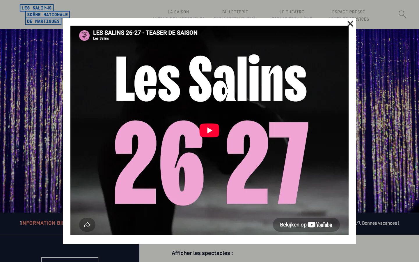 Homepage screenshot of Théâtre des Salins