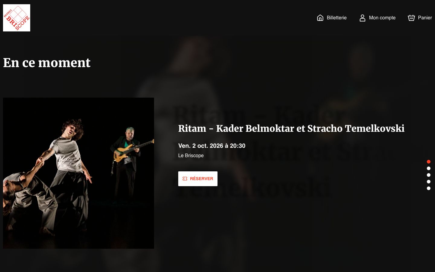 Homepage screenshot of Briscope de Brignais