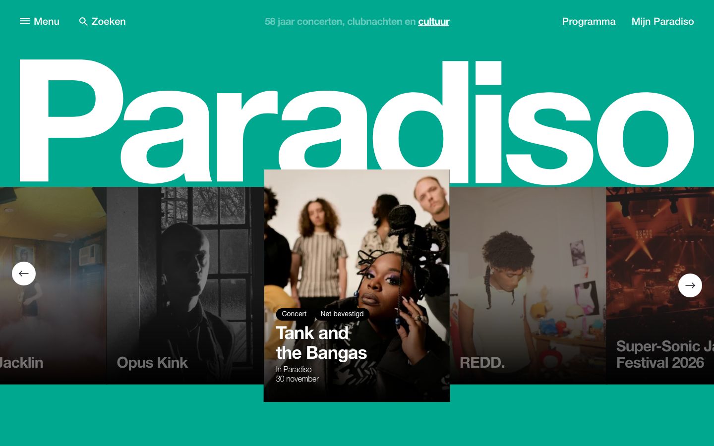 Homepage screenshot of Paradiso