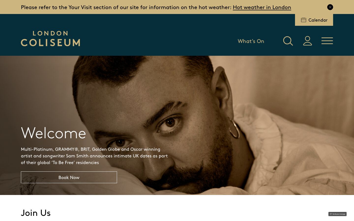 Homepage screenshot of London Coliseum