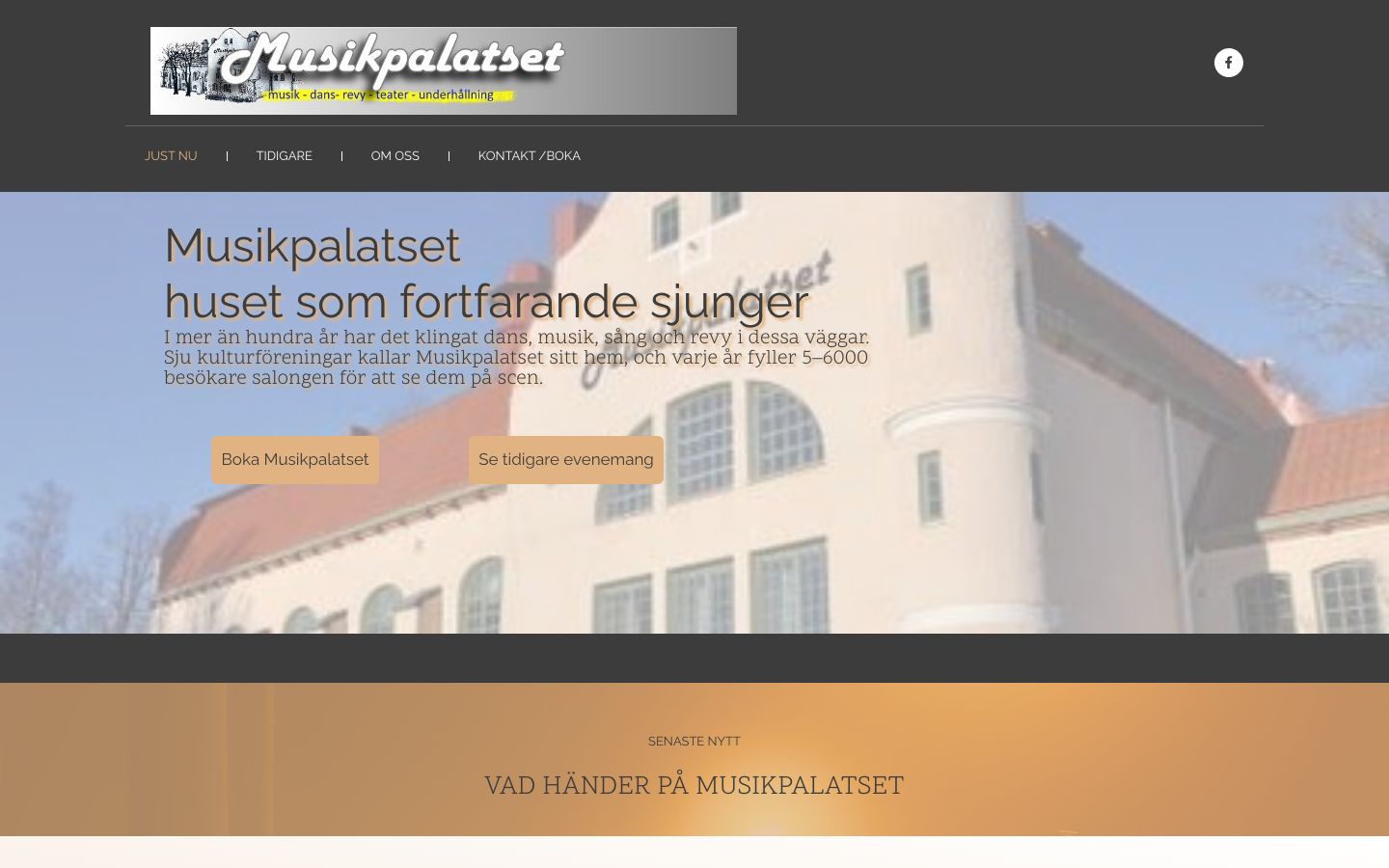 Homepage screenshot of musikpalatset.se