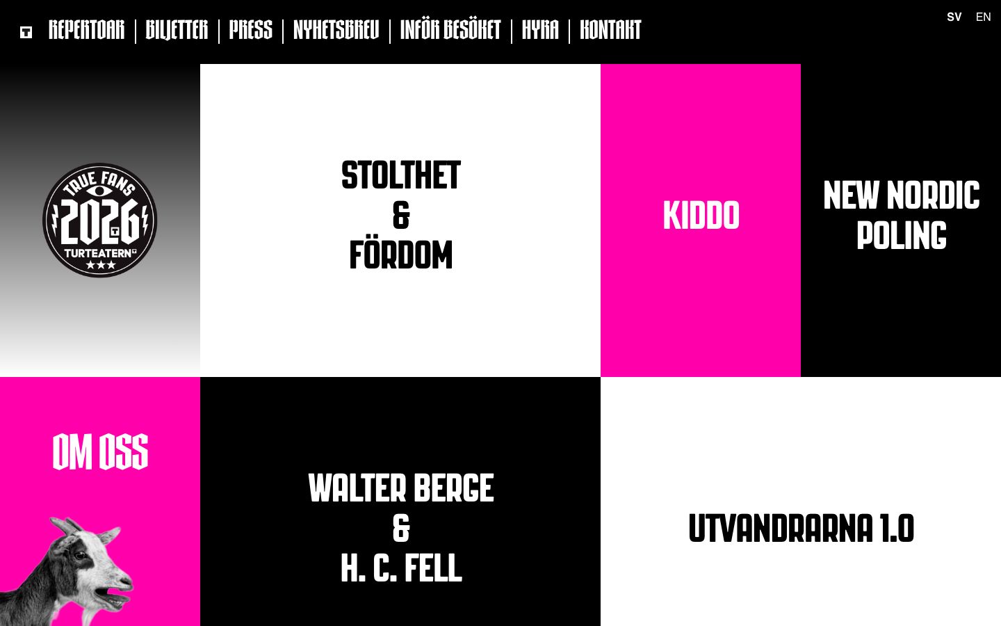 Homepage screenshot of Turteatern