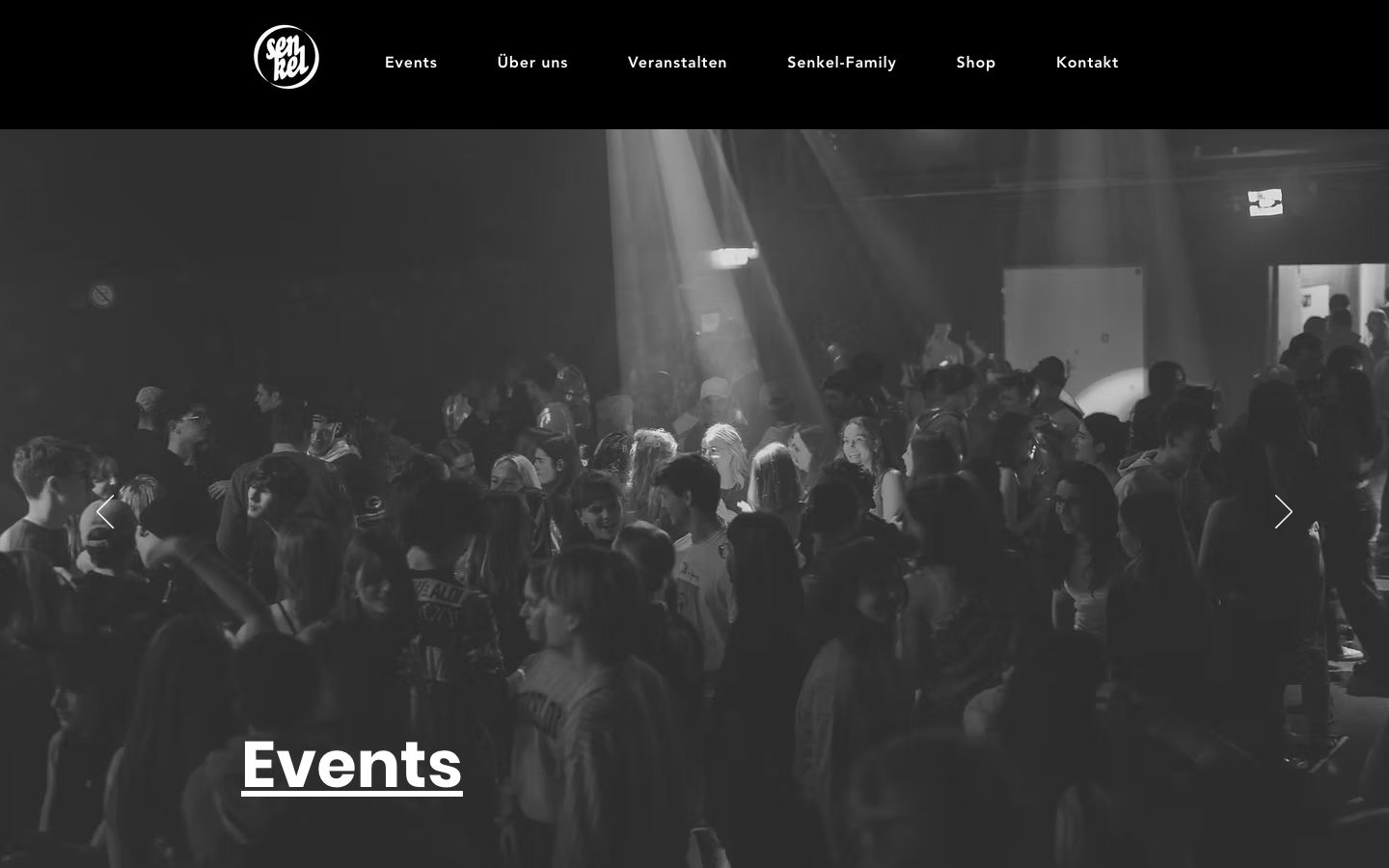 Homepage screenshot of Senkel