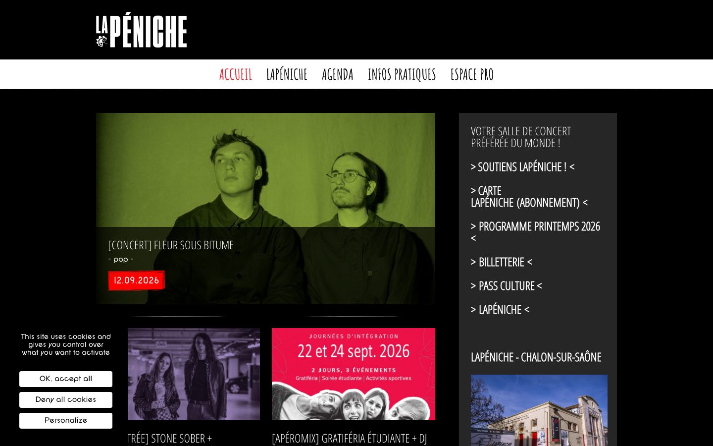 Homepage screenshot of LAPENICHE