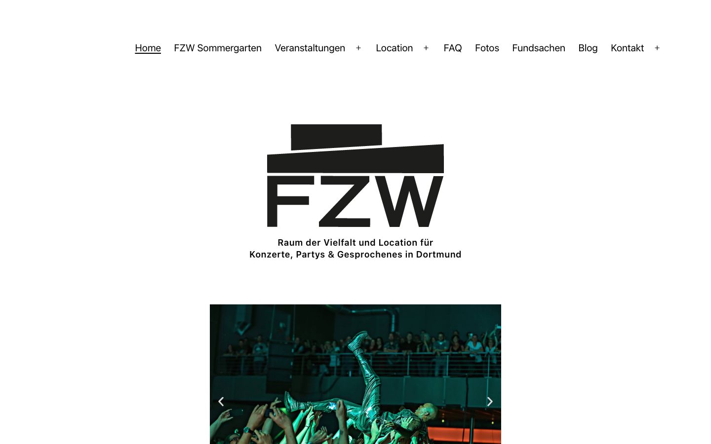 Homepage screenshot of FZW