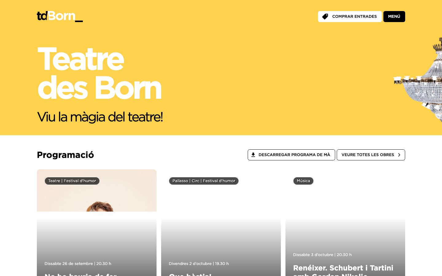 Homepage screenshot of Teatre des Born - Viu la màgia del teatre!