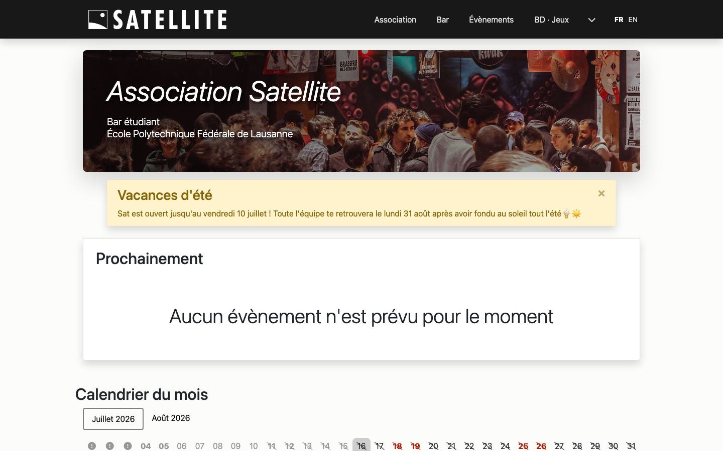 Homepage screenshot of Satellite Association
